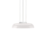 Totem Downlight Suspension Pablo