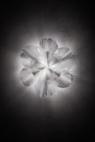 La Belle Étoile Applique Murale / Plafonnier Slamp Lighting