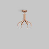 Tulip Suspension Chandelier Eureka Lighting