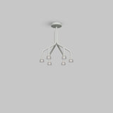 Tulip Suspension Chandelier Eureka Lighting