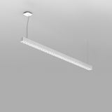 Calipso Linéaire Suspension Artemide