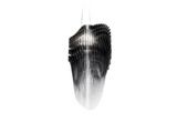 Avia Suspension Luminaire Slamp Lighting