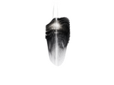 Avia Suspension Luminaire Slamp Lighting