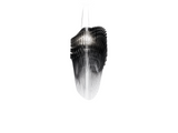 Avia Suspension Luminaire Slamp Lighting