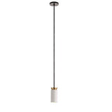Triana Pendant Lighting from Carpyen