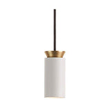 Triana Pendant Lighting from Carpyen