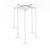 Cielo XL Multi Light Suspension Pablo Designs