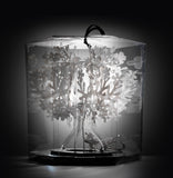 Fiorellina Lampe de Table Slamp