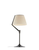 Angelo Stone Lampe de Table Kartell