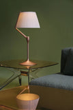Angelo Stone Lampe de Table Kartell