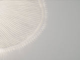 Onn Large Wall Light Arturo Alvarez