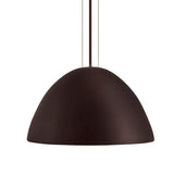 Sapinus Suspension Geo Contemporary