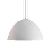 Sapinus Suspension Geo Contemporary