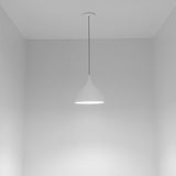 Zoe Suspension Geo Contemporary