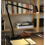 Polo Table Lamp Light from Marset