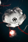 Poppy Suspension Slamp Lighting