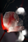 Poppy Suspension Slamp Lighting
