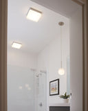 Audra Suspension Luminaire Techlighting