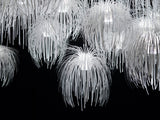 Tina Large Pendant Lighting from Arturo Alvarez