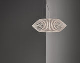 V Pendant Light from Arturo Alvarez