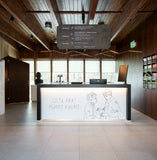 Boomer Suspension TossB Luminaire