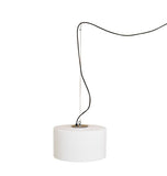 Harry Pendant Light from Carpyen