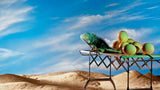 Battista Cart from Kartell