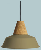 Fasnia Suspension Carpyen Easy Light