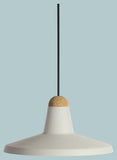 Tao Suspension Carpyen Easy Light