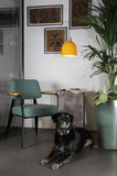Ons Suspension Carpyen Easy Light