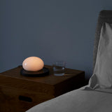 Bolita Lampe de Table Marset