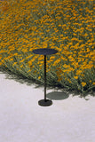 Ginger Bollard Lampe de Sol Marset