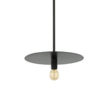 Quinne Pendant Light Maxilite