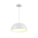NAPF20-CC – 2-en-1 Plafonnier et Suspension de 20″ Dals Lighting