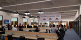 Dome Suspension Luminaire Seed Design