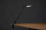 Splitty Table Lamp Koncept Lighting