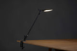 Splitty Table Lamp Koncept Lighting