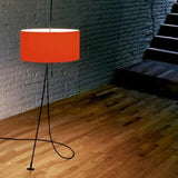 Totora Floor Lamp light from carpyen