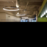 Architectural Products - Pendant - Watson M - Arancia Lighting